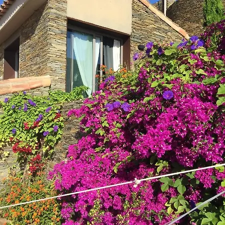 Villa 6 Bedrooms At 50 M Away From The Beach With Sea View Private Pool And Sauna *